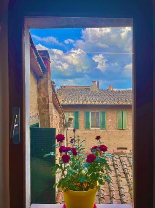 Suite19 Siena Centro Storico Dış mekan fotoğraf